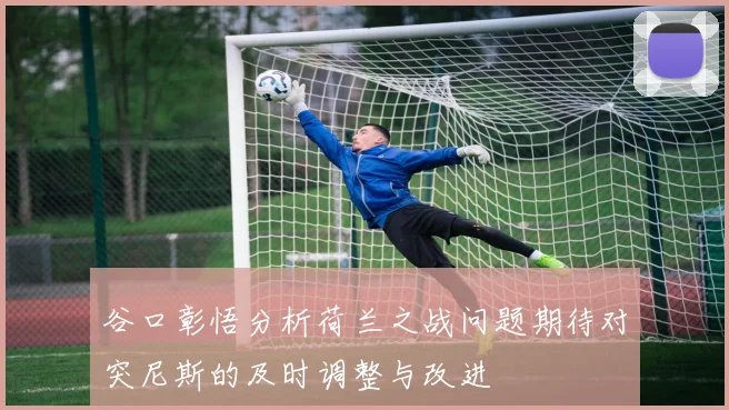 谷口彰悟分析荷兰之战问题期待对突尼斯的及时调整与改进